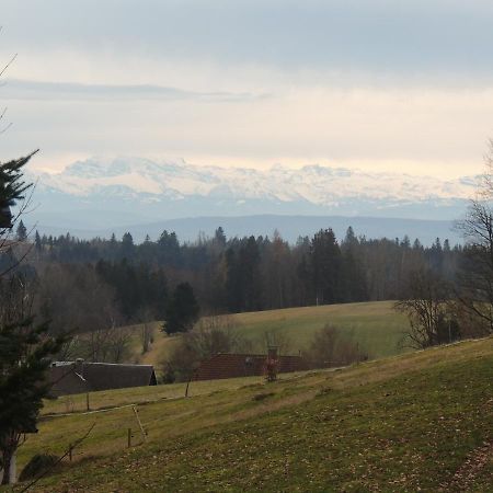 Haus Ingeborg Appartement Dachsberg im Schwarzwald Buitenkant foto