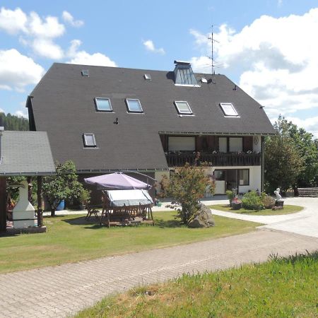 Haus Ingeborg Appartement Dachsberg im Schwarzwald Buitenkant foto
