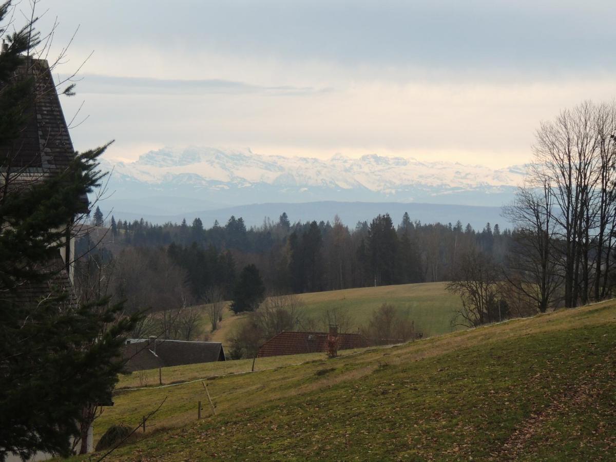 Haus Ingeborg Appartement Dachsberg im Schwarzwald Buitenkant foto