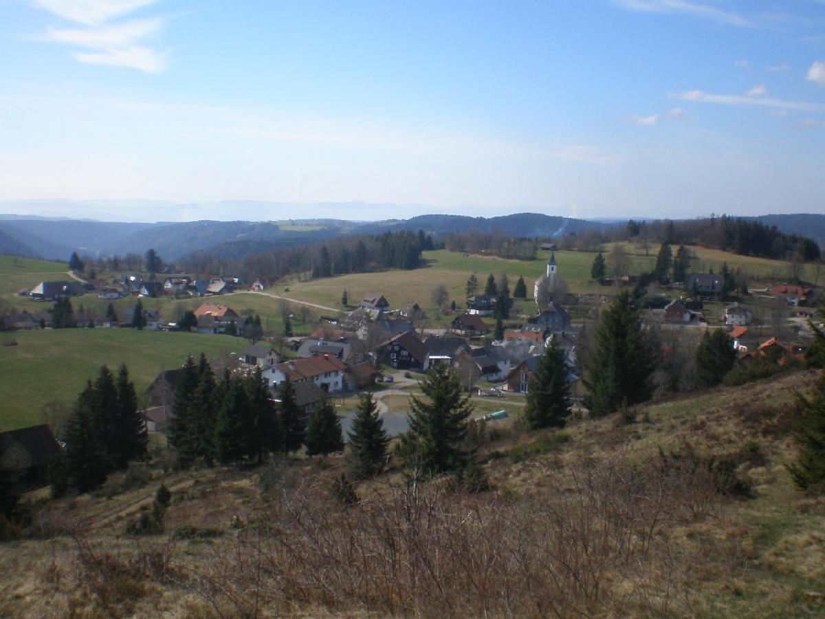 Haus Ingeborg Appartement Dachsberg im Schwarzwald Buitenkant foto