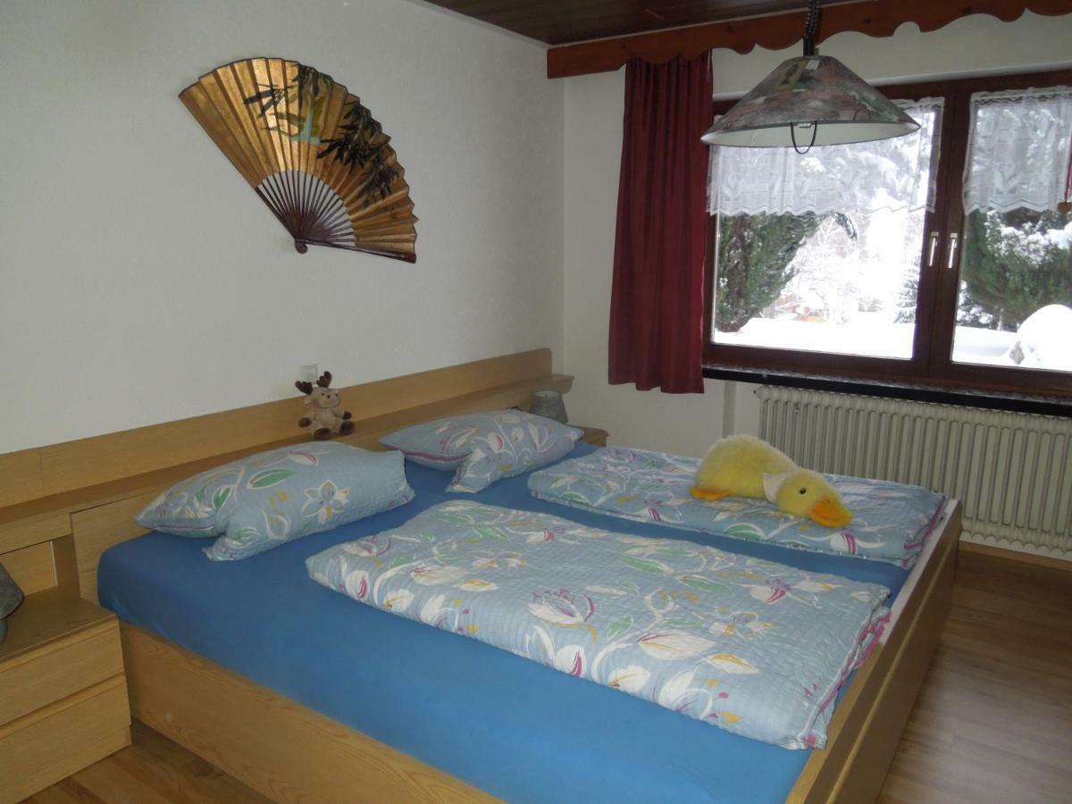 Haus Ingeborg Appartement Dachsberg im Schwarzwald Buitenkant foto