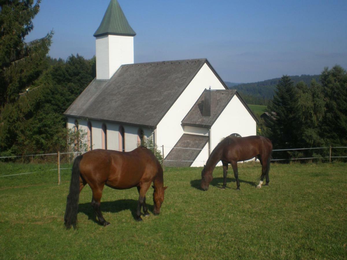 Haus Ingeborg Appartement Dachsberg im Schwarzwald Buitenkant foto