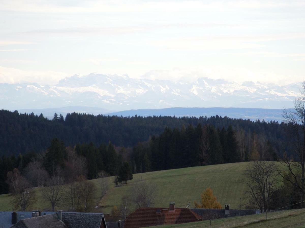 Haus Ingeborg Appartement Dachsberg im Schwarzwald Buitenkant foto