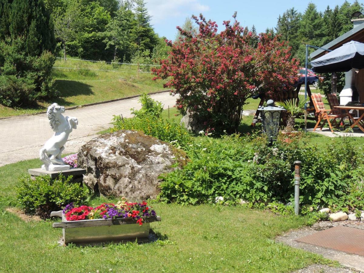 Haus Ingeborg Appartement Dachsberg im Schwarzwald Buitenkant foto